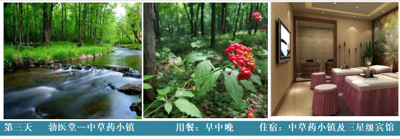 1702606582137254.png image.png