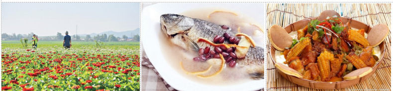 1702606625843057.png image.png