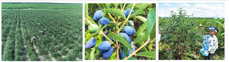 1702606966177026.png image.png