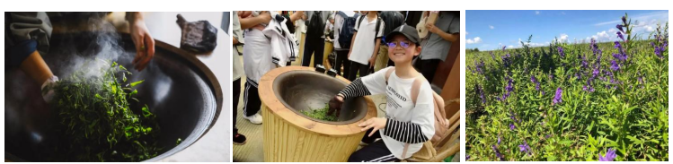 1702607008698590.png image.png