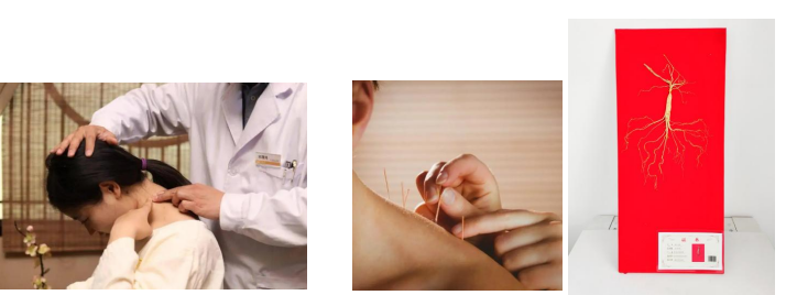 1702608602178373.png image.png