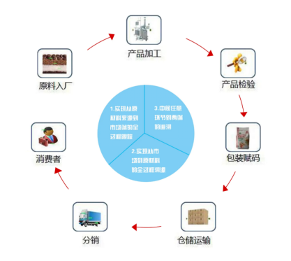 1702632368182718.png image.png