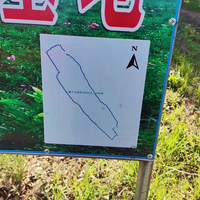 勃利县红旗林场黄芩种苗面积127.6亩